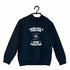 Quirkipedia Think like a proton Chemistry Nerd, Hooded SweatShirts